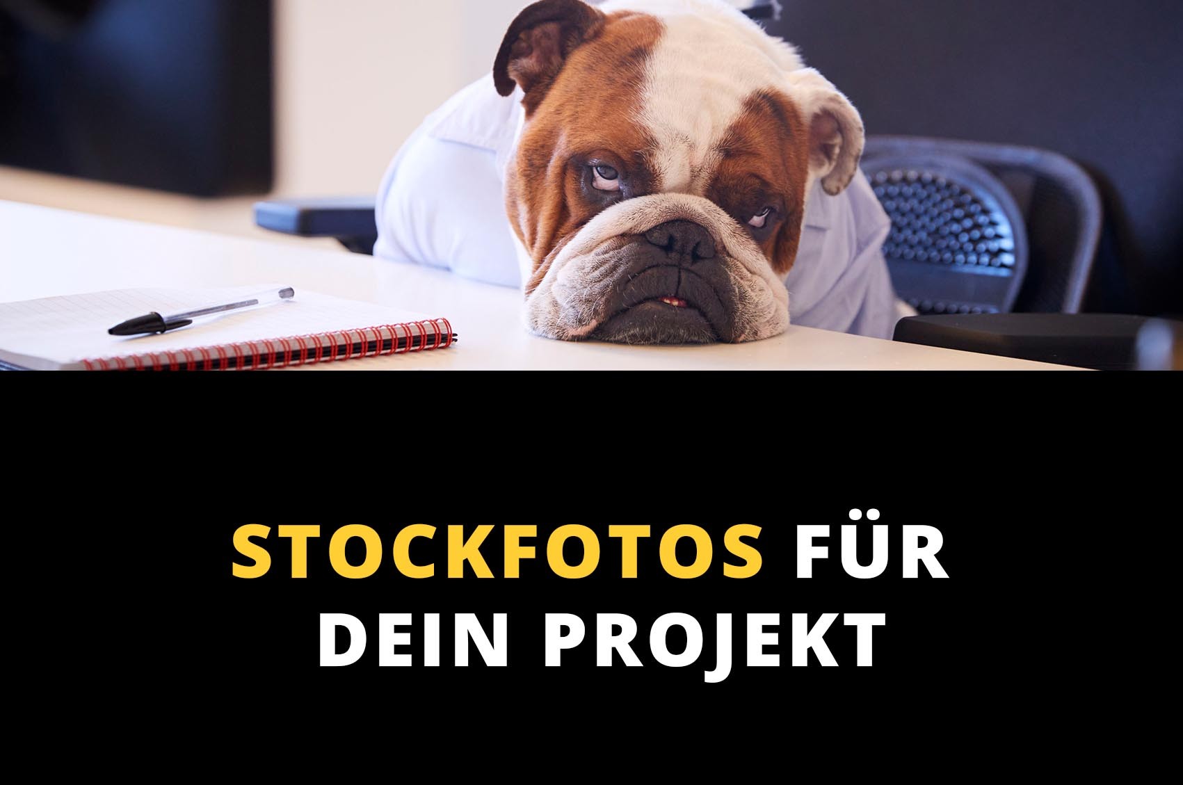 Fotos kaufen - Stockfotos für dein Projekt